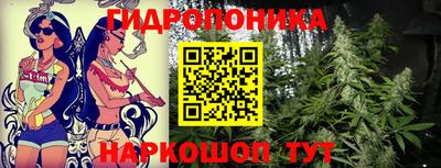 дурь Пугачёв