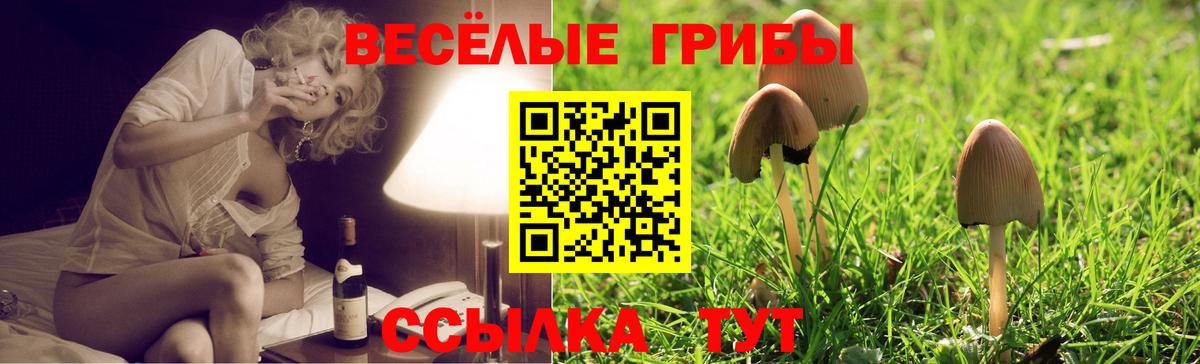 Галлюциногенные грибы GOLDEN TEACHER Новоалтайск