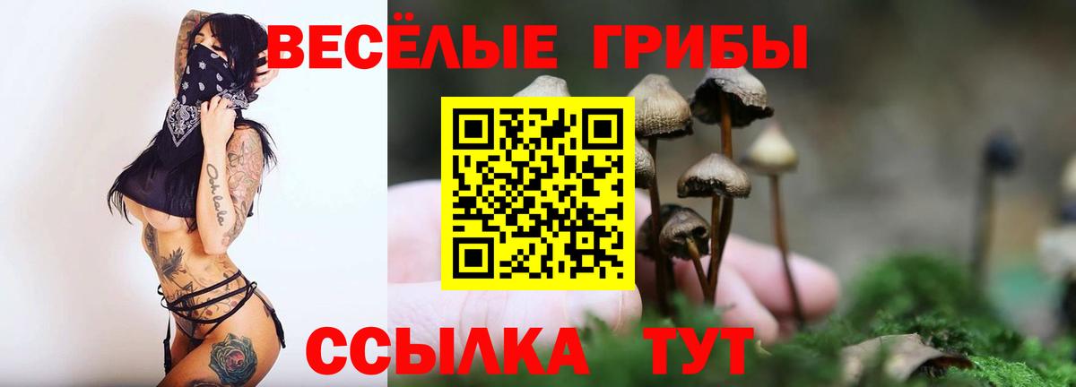 где купить   Псилоцибиновые грибы GOLDEN TEACHER  Новоалтайск  Вход с VPN  Псилоцибиновые грибы ЛСД 
